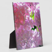 Plaque Photo Hydrangées roses rayonnantes, fleurs roses (Côté)