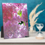 Plaque Photo Hydrangées roses rayonnantes, fleurs roses (Côté)