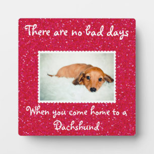 Plaque Photo Il N'Y A Pas De Mauvais Jours...Photo Ready Pet