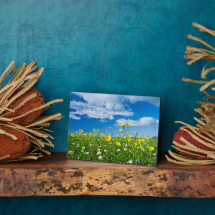Plaque Photo île de South Uist   Écosse