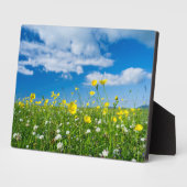 Plaque Photo île de South Uist | Écosse (Côté)