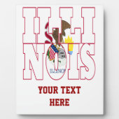 Plaque Photo Illinois (Devant)