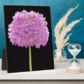 Plaque Photo Illium Summer Spring Flower - Irish Design (Côté)