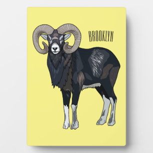 Plaque Photo Illustration de mouflon, mouton