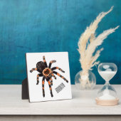 Plaque Photo Illustration de Tarantula (Insitu)