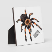 Plaque Photo Illustration de Tarantula (Recto)