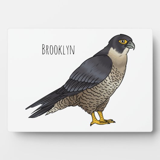 Plaque Photo Illustration d'oiseau de faucon pèlerin (Devant)