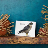 Plaque Photo Illustration d'oiseau de faucon pèlerin (Côté)