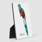 Plaque Photo Illustration d'oiseau de quetzal resplendissant (Côté)