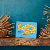 Plaque Photo Illustration du serpent python birman (Côté)