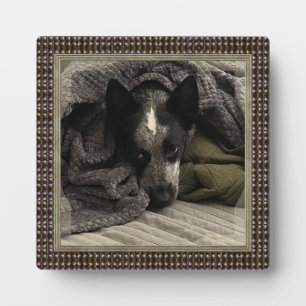 Plaque Photo Image debout avec cadre métallique Faux HAMbWG