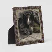 Plaque Photo Image debout avec cadre métallique Faux HAMbWG (Recto)