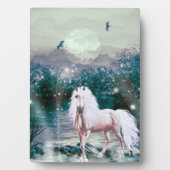 Plaque Photo Imaginaire Unicorn (Devant)