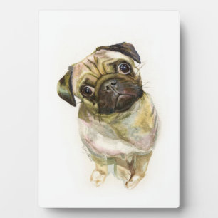 Plaque Photo Impression carlin face Chien de Carlin mignon