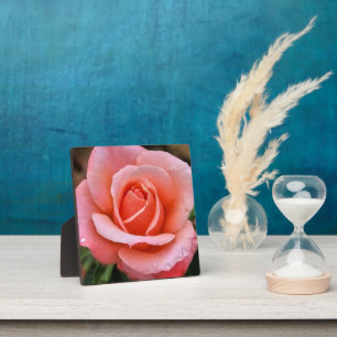 Plaque Photo Impression d'art botanique Rose romantique