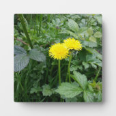 Plaque Photo Impression de toile étirée (Devant)