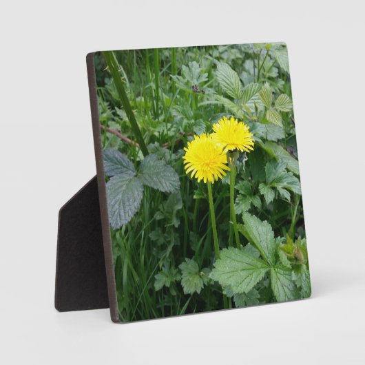 Plaque Photo Impression de toile étirée (Recto)