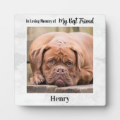 Plaque Photo In Loving Memory - Meilleur Ami Homet Memorial (Devant)