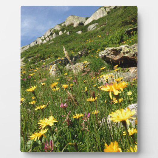 Plaque Photo Incroyable ! Fleurs alpines (Devant)