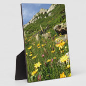Plaque Photo Incroyable ! Fleurs alpines (Côté)