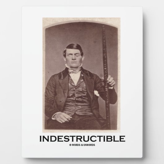 Plaque Photo Indestructible (Phineas Gage) (Devant)