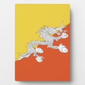 Plaque Photo Indicateur Butane (Devant)