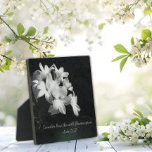 Inspirational Bible Verse