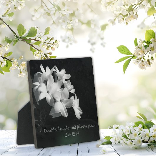 Plaque Photo Inspirational Bible Verse