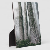 Plaque Photo Invoquer la forêt (Côté)