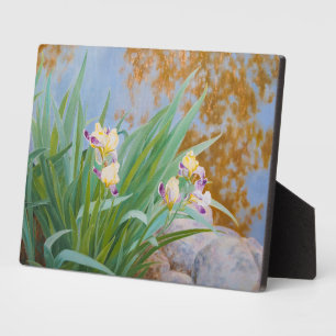 Plaque Photo Irises jaunes et pourpres avec lumière dorée