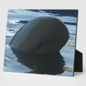 Plaque Photo Irrawaddy Dolphin Peek-A-Boo (Côté)