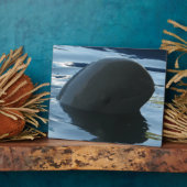 Plaque Photo Irrawaddy Dolphin Peek-A-Boo (Côté)