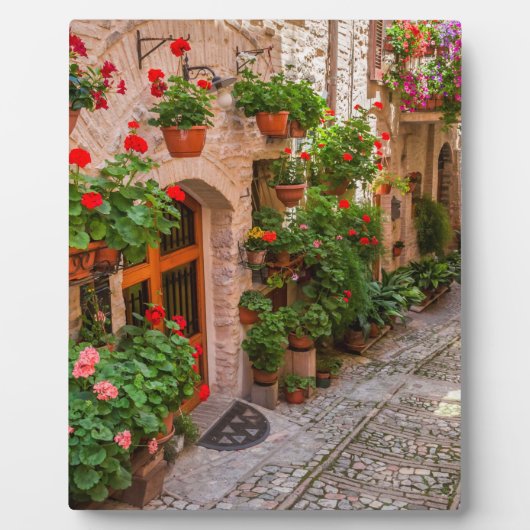 Plaque Photo Italie, Toscane (Devant)