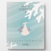 Plaque Photo Jalon de bébé requin doux (Devant)