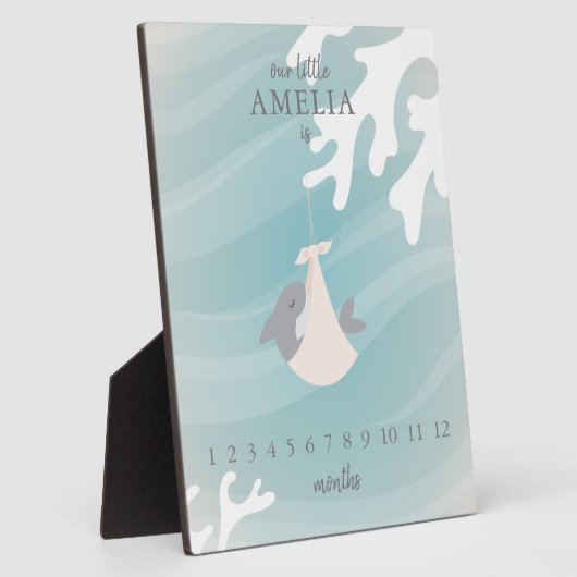 Plaque Photo Jalon de bébé requin doux (Côté)