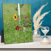 Plaque Photo Jardin fleur sauvage (Côté)