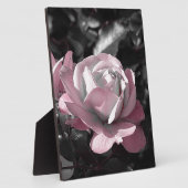 Plaque Photo Jardin rose rose (Côté)