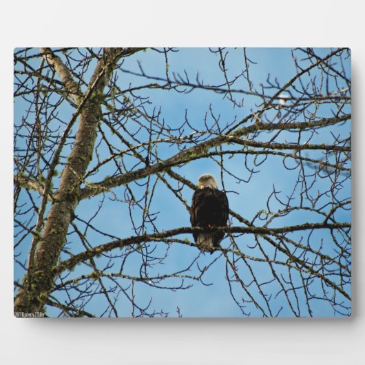 Plaque Photo Je vous regarde (Devant)