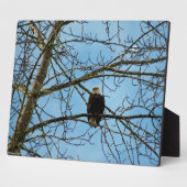 Plaque Photo Je vous regarde (Côté)