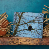 Plaque Photo Je vous regarde (Côté)