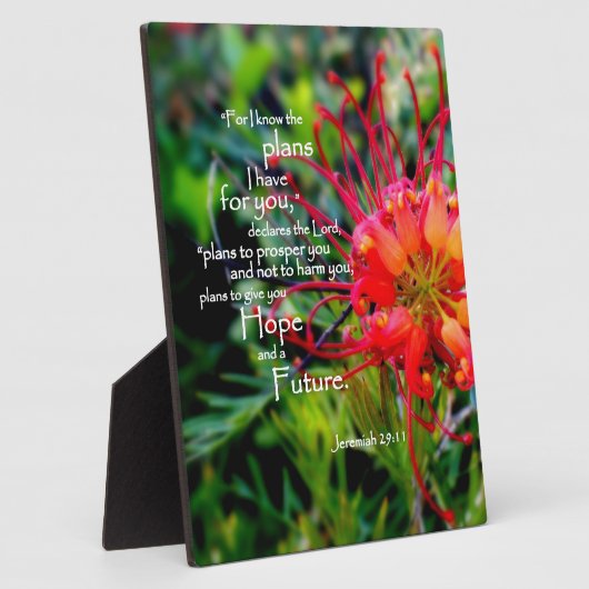 Plaque Photo Jérémie 29:11 Un espoir et un avenir (Côté)