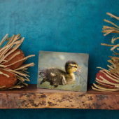 Plaque Photo Jeune bébé canard (Côté)