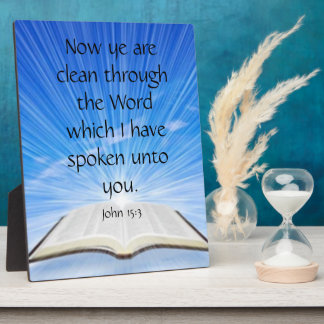 Plaque Photo John 15:3