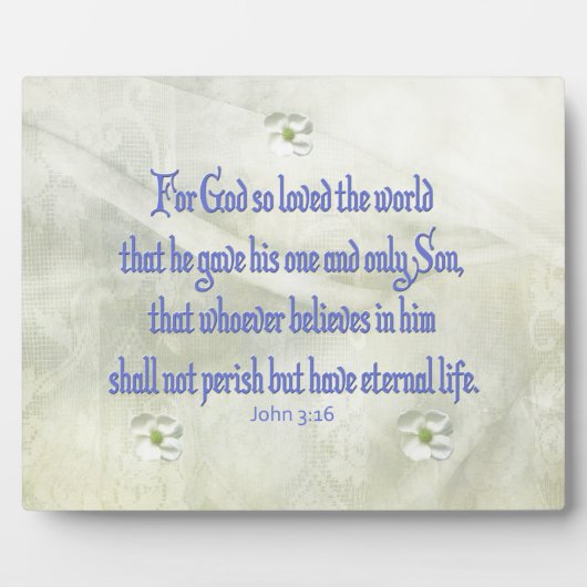 Plaque Photo John 316 Dogwood (Devant)