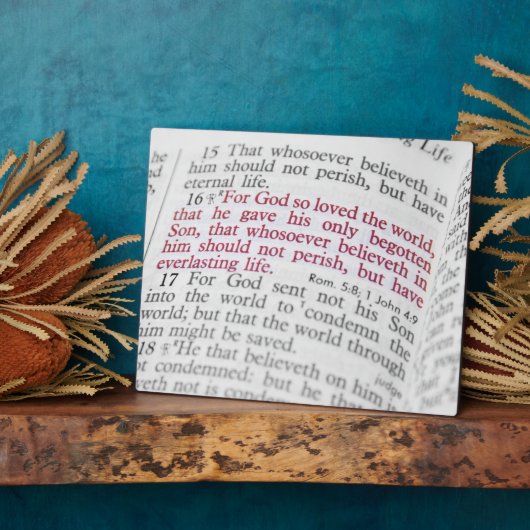 Plaque Photo John 3:16 (Côté)