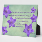 Plaque Photo John 3:16 (Côté)