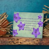 Plaque Photo John 3:16 (Côté)