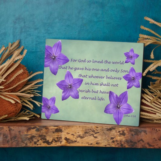 Plaque Photo John 3:16 (Côté)