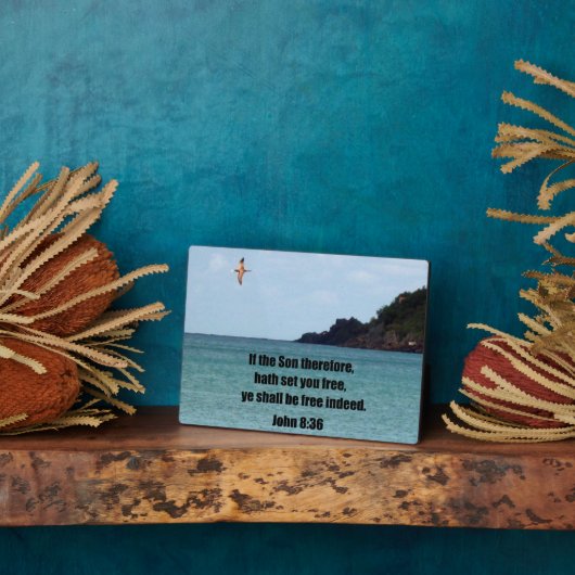 Plaque Photo John 8:36 (Côté)