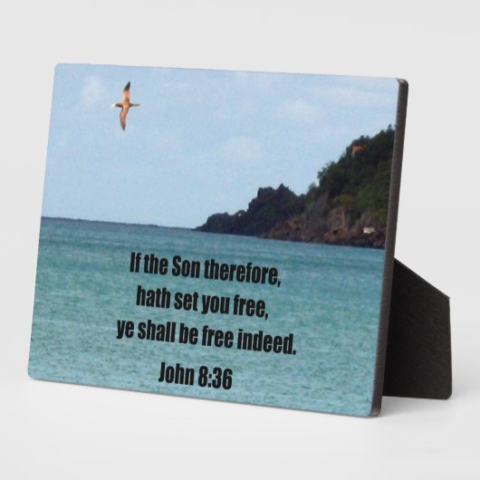 Plaque Photo John 8:36 (Côté)